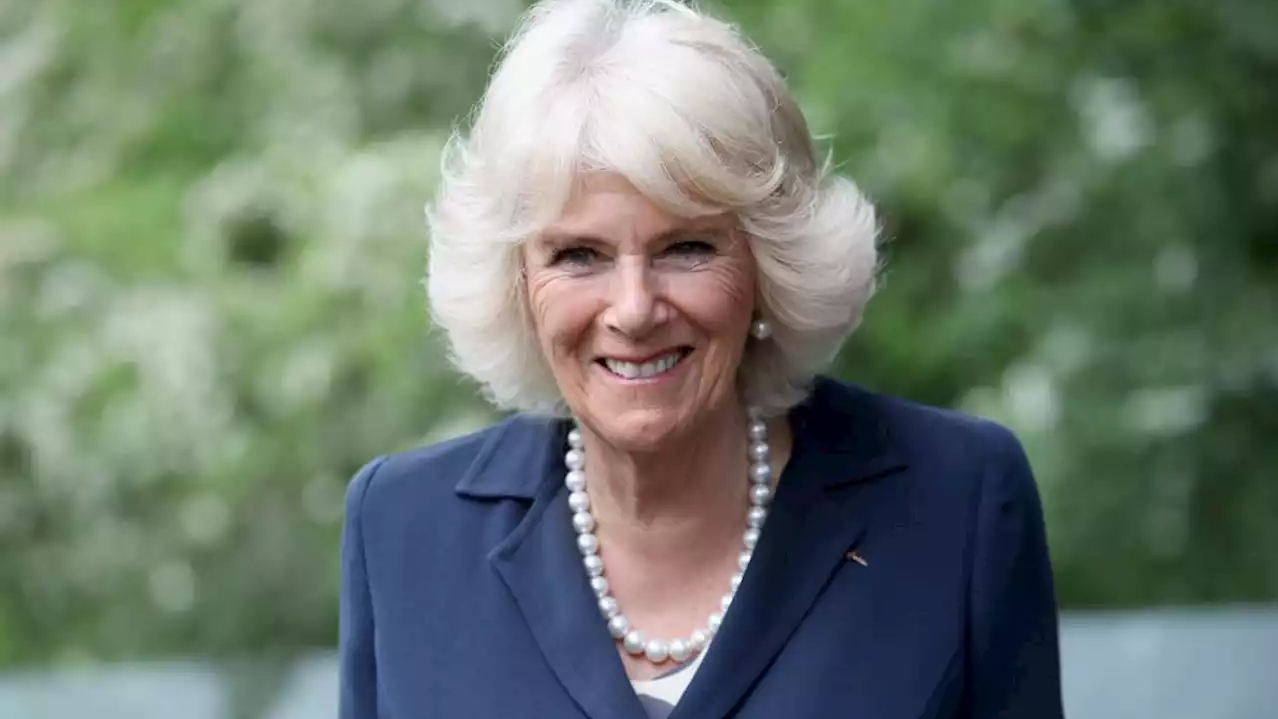 British Queen Camilla narrowly escaped in a plane crash, see the list of world's most painful plane accidents here