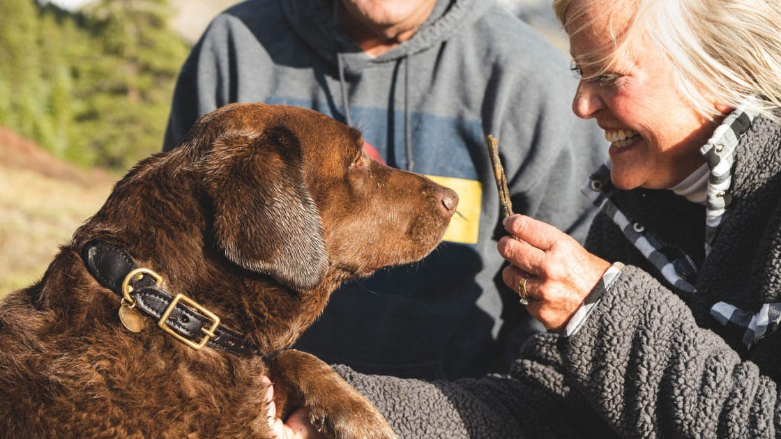 "The Stress Connection: How Your Pet Feels Your Anxiety"
